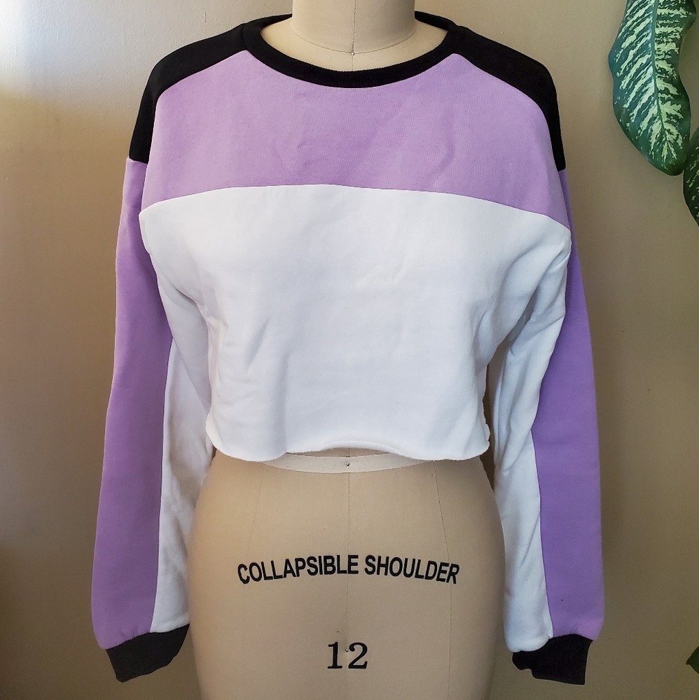 2 FOR $30! Colour Block Crop Sweater